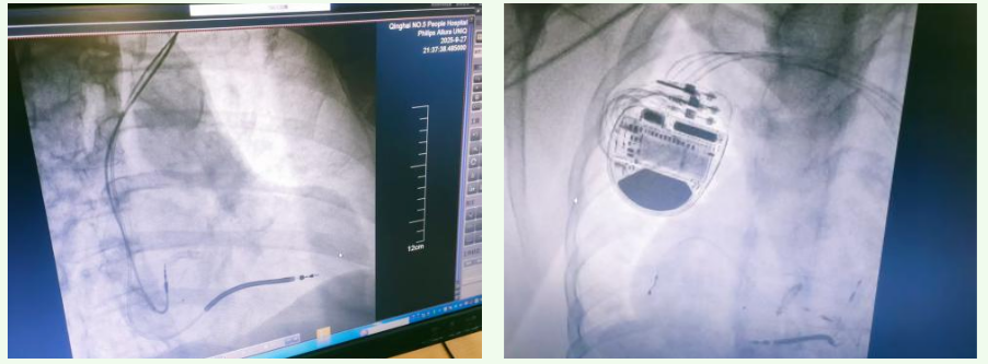 1764895611511573.png image.png